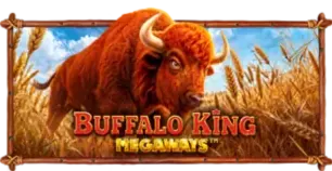 ภาพเกม Buffalo King Megaways ที่ sos69 รวบรวมไว้